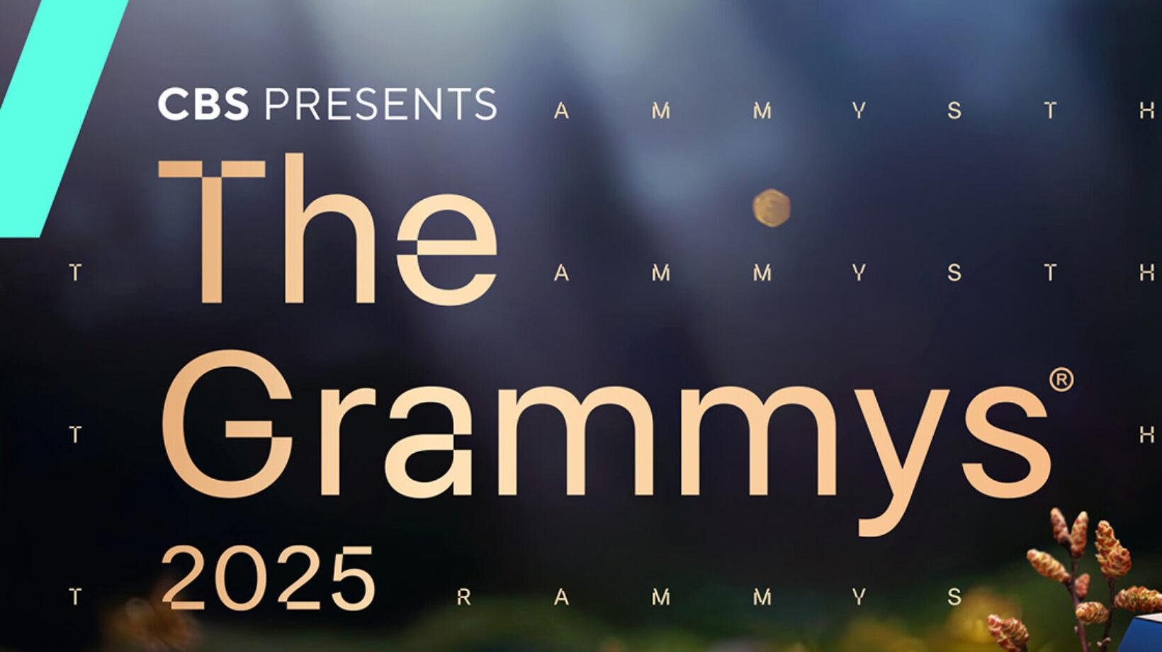 Where To Watch The 2025 GRAMMYs®