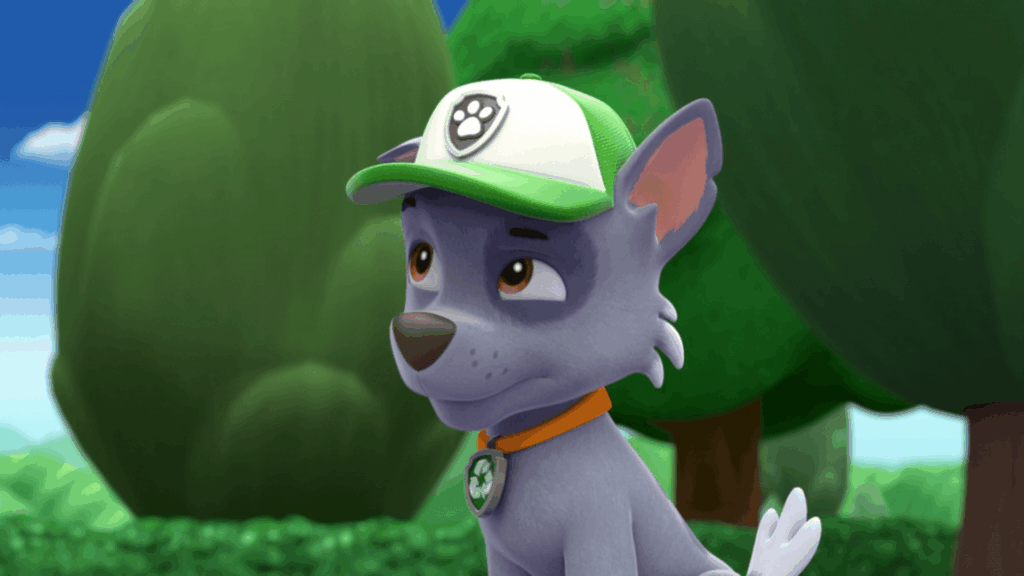 Rocky/PAW Patrol