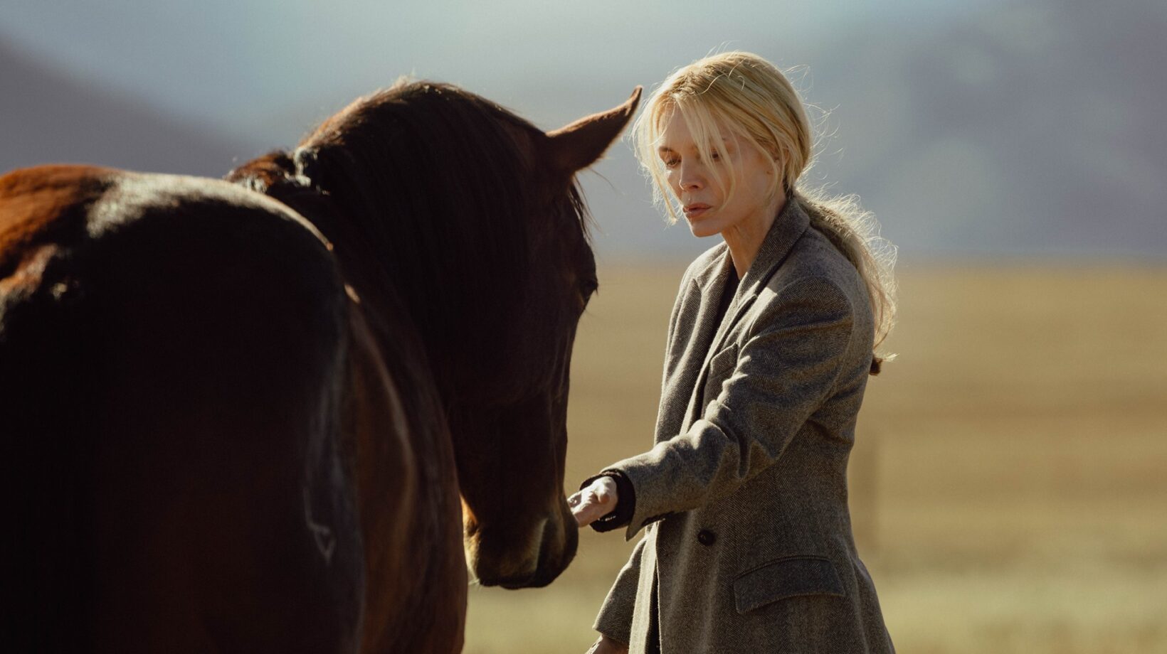 Where To Watch Taylor Sheridan Shows