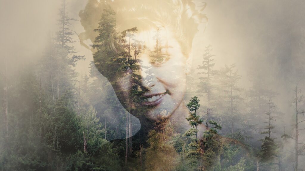 Twin Peaks the Return